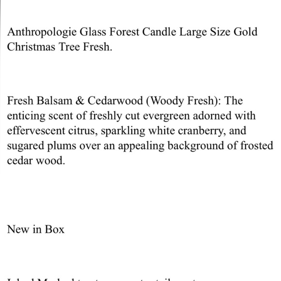 Anthropologie Glass Forest Candle Large NIB - Picture 16 of 16